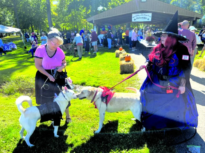 Howl-o-ween goes to the dogs at Mosquito